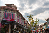 Little India Images